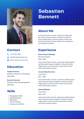 Professional CV Maker