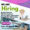 Best online job