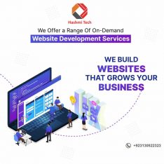 Website Development (WordPress/Web Application)