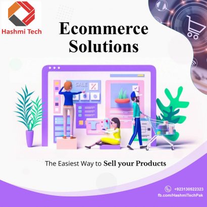 Website Development (WordPress/Web Application)