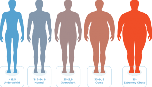 BMI Calculator.achieve a healthy weight