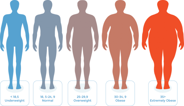 BMI Calculator.achieve a healthy weight