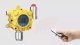 Fixed Gas Detector
