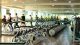 Safa Fitness Club