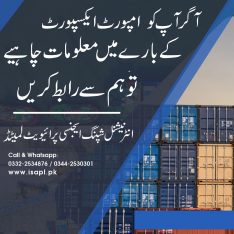 Customs Clearance of Imports & Exports Custom Consultant Logistics Service