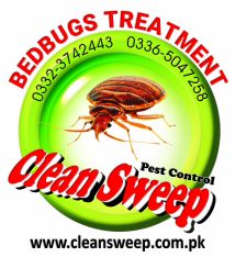 Bedbugs Treatment in Islamabad
