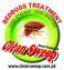 Bedbugs Treatment in Islamabad