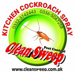 cockroach spray services in Islamabad