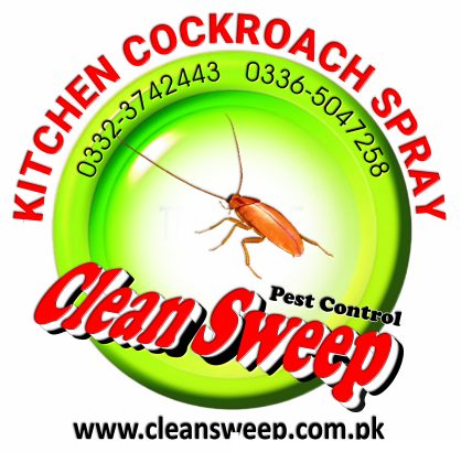 cockroach spray services in Islamabad
