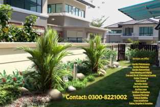 The Garden Experts – For all your Gardening & Landscaping needs