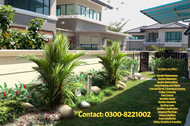 The Garden Experts – For all your Gardening & Landscaping needs