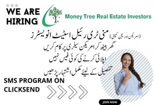 Money Tree Real Estate Investors a USA Based Company needs a freelancer
