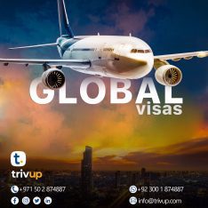 All visa consultancy and business setup service at your desk