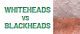 White and Blackheads Removal in Islamabad – Rehman Medical Center