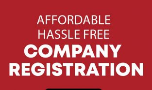 Professional Services for Registration of Companies