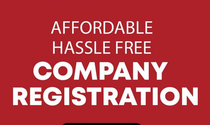 Professional Services for Registration of Companies