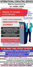 international consulting services