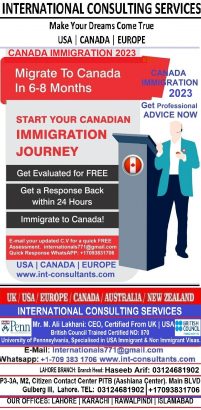 international consulting services
