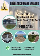 Unleash the Untapped Potential of Gwadar’s Port and Free Zone