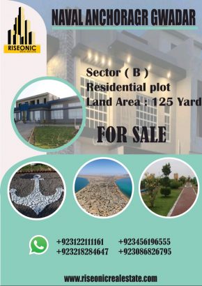 Unleash the Untapped Potential of Gwadar’s Port and Free Zone