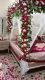 Event Planners Multan.Event Management company