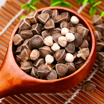 Moringa Australian Variety (MOMAX-3) (Sohanjna) Fresh Seed For Sale RS:500