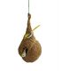 Hanging birds Nest for pet birds or decorations for home or garden