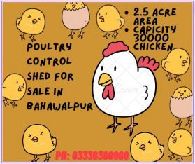 Poultry Control Shed