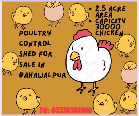 Poultry Control Shed