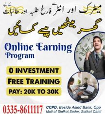 Online earning course | freelancing course | basic computer course| at ccpd