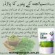 EARN MONEY AT HOME. GROW MORINGA PLANT AND SELL POWDER,SEED. WE BUYBACK