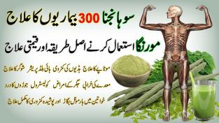 Earn Money At Home.Grow Moringa Plants At Home For Powder.We Buyback