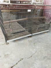SELL MY CAGE
