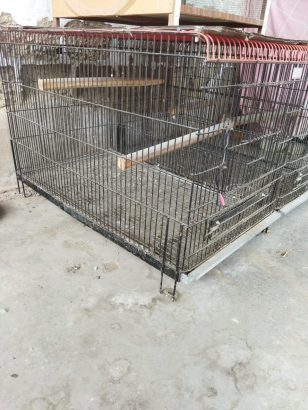 SELL MY CAGE