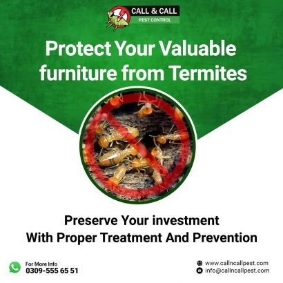 pest control services, fumigation, cockroaches