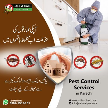 Pest Controlling Service