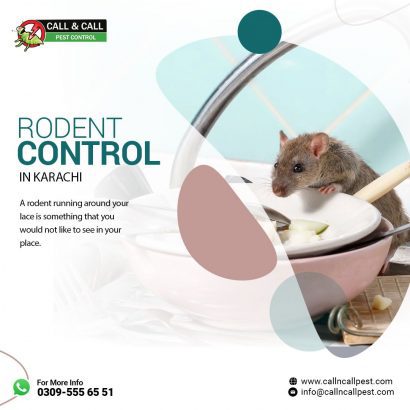 pest control services, fumigation, cockroaches