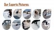 Roof Waterproofing Services Sukkur Roof Heat Proofing Services