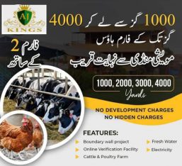 Cattle Farm Plots Available For Sale