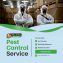 pest control services, fumigation, cockroaches