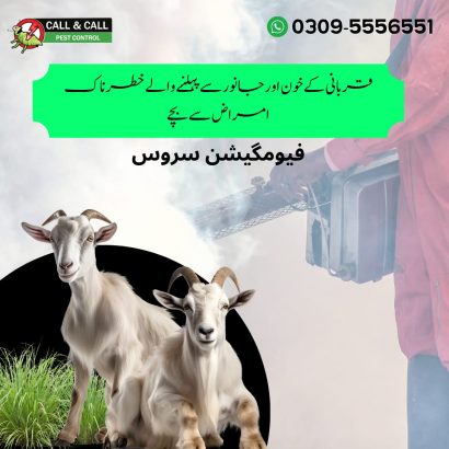 pest control services, fumigation, cockroaches