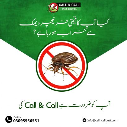 Pest Controlling Service