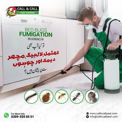 Pest Controlling Service