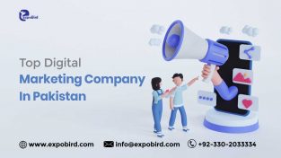 Best Digital marketing services in Pakistan 2022 | Expobird