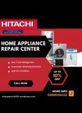Hitachi Services