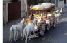 Fuji band/pipe band/polic band/Buggy/Mughal wedding
