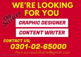 Online Work Opportunity