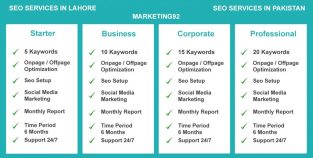Maximize Business Potential with Top SEO Expert In Lahore