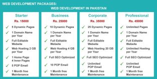 Leading Web Development Services In Pakistan- Marketing 92