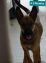 German Shepherd for Sale